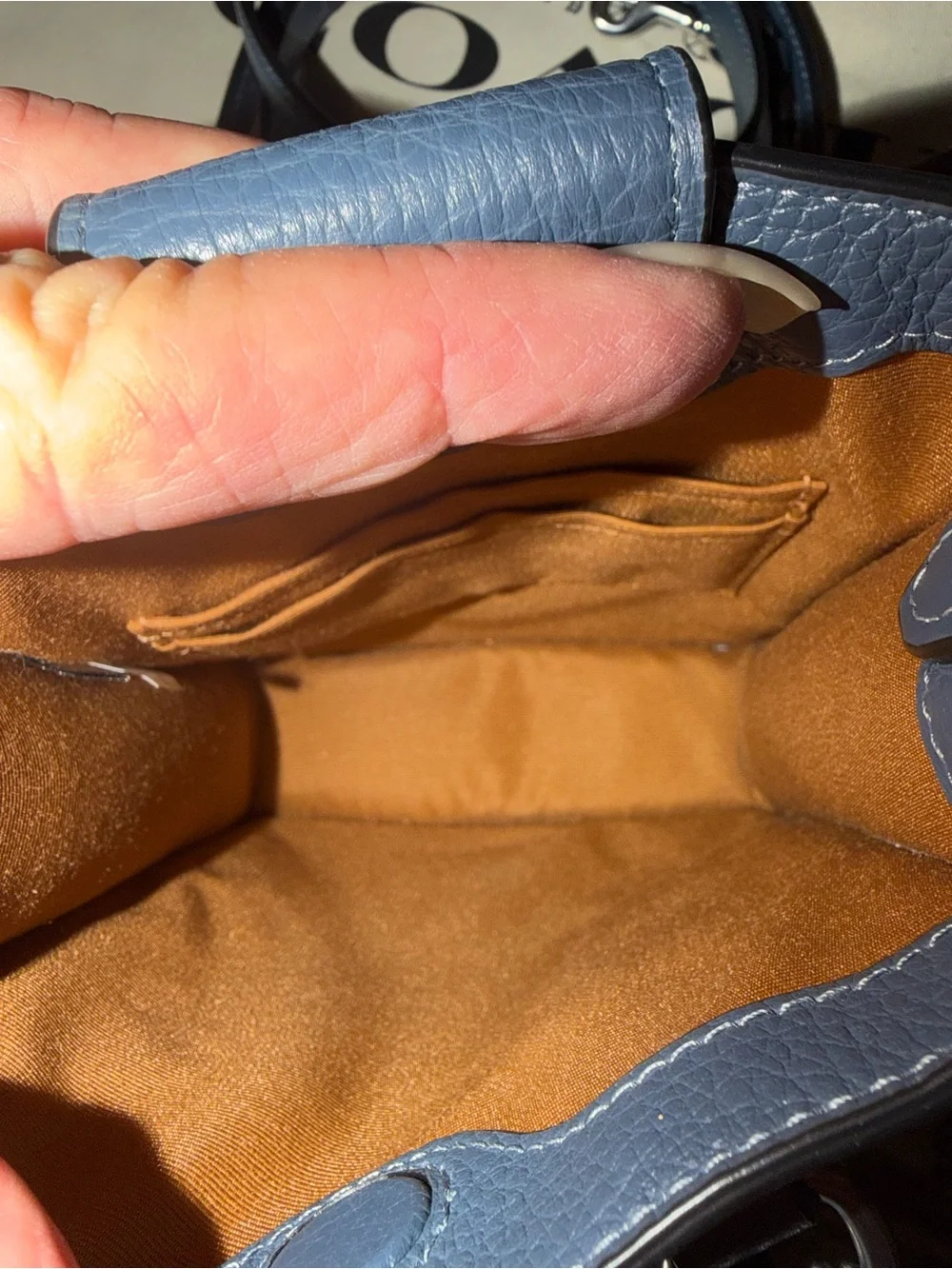 Coach North South Mini Tote